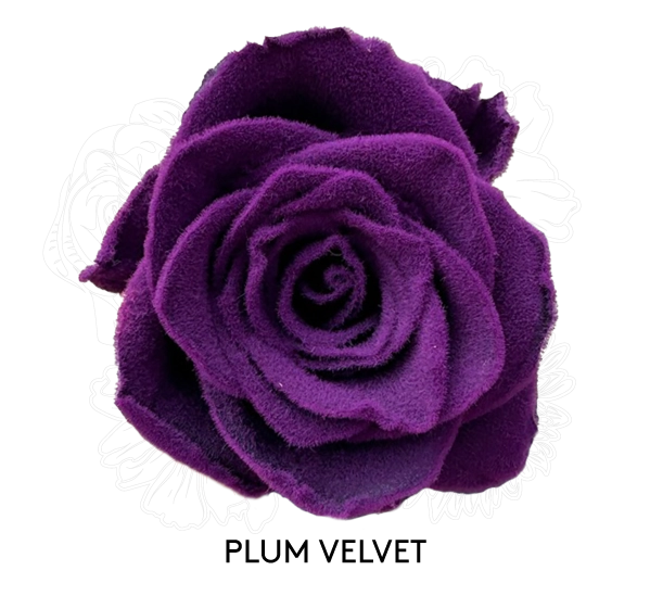 PLUM VELVET