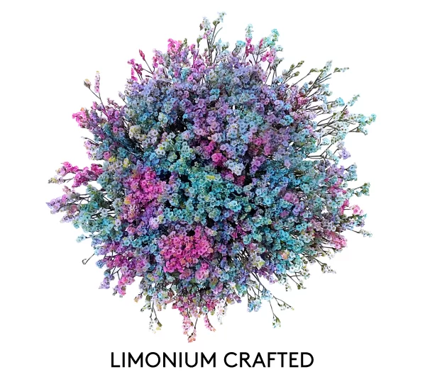 LIMONIUM CRAFTED