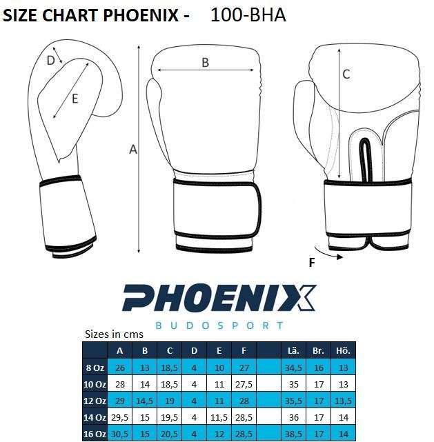 Boxhandschuhe PX Phoenix Pro Fight