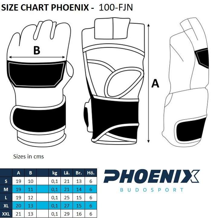 PX MMA Handschuhe