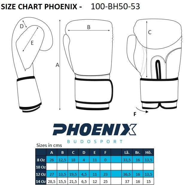 Boxhandschuhe Top-Modell schwarz Echtleder