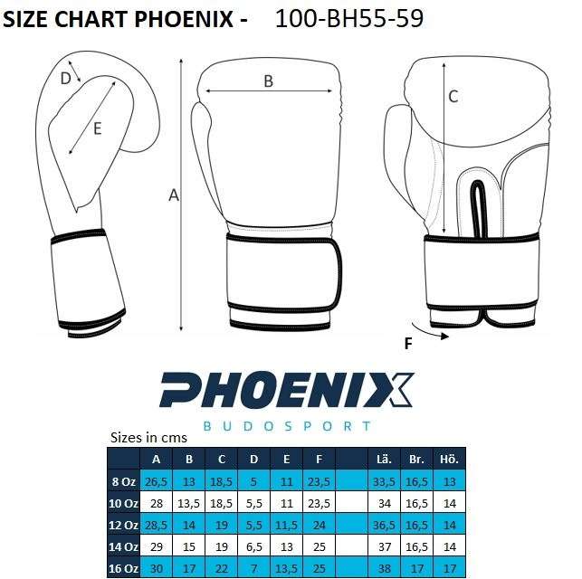 PX Boxhandschuhe schwarz-weiß Leder