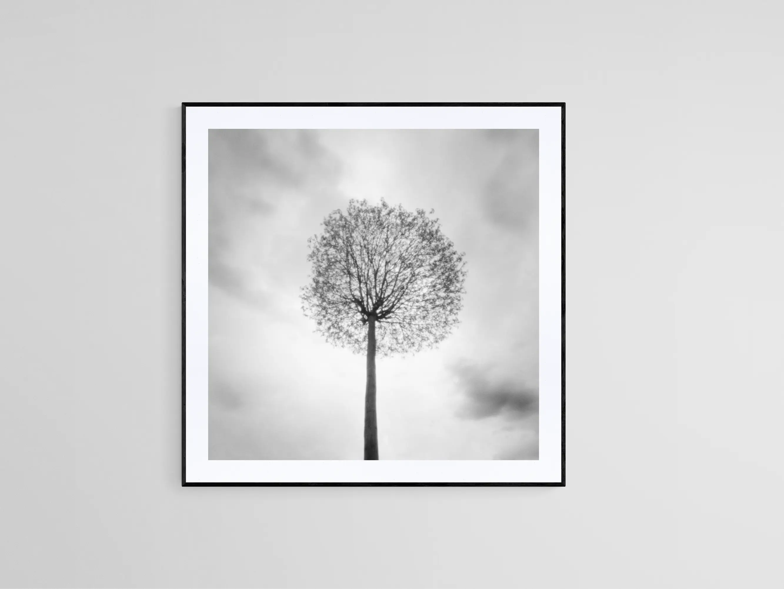 Pinhole XIX
