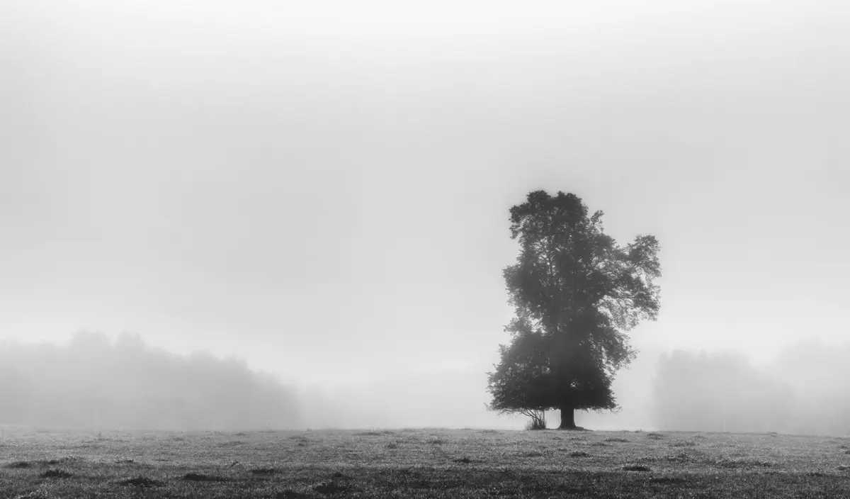 Alone I
