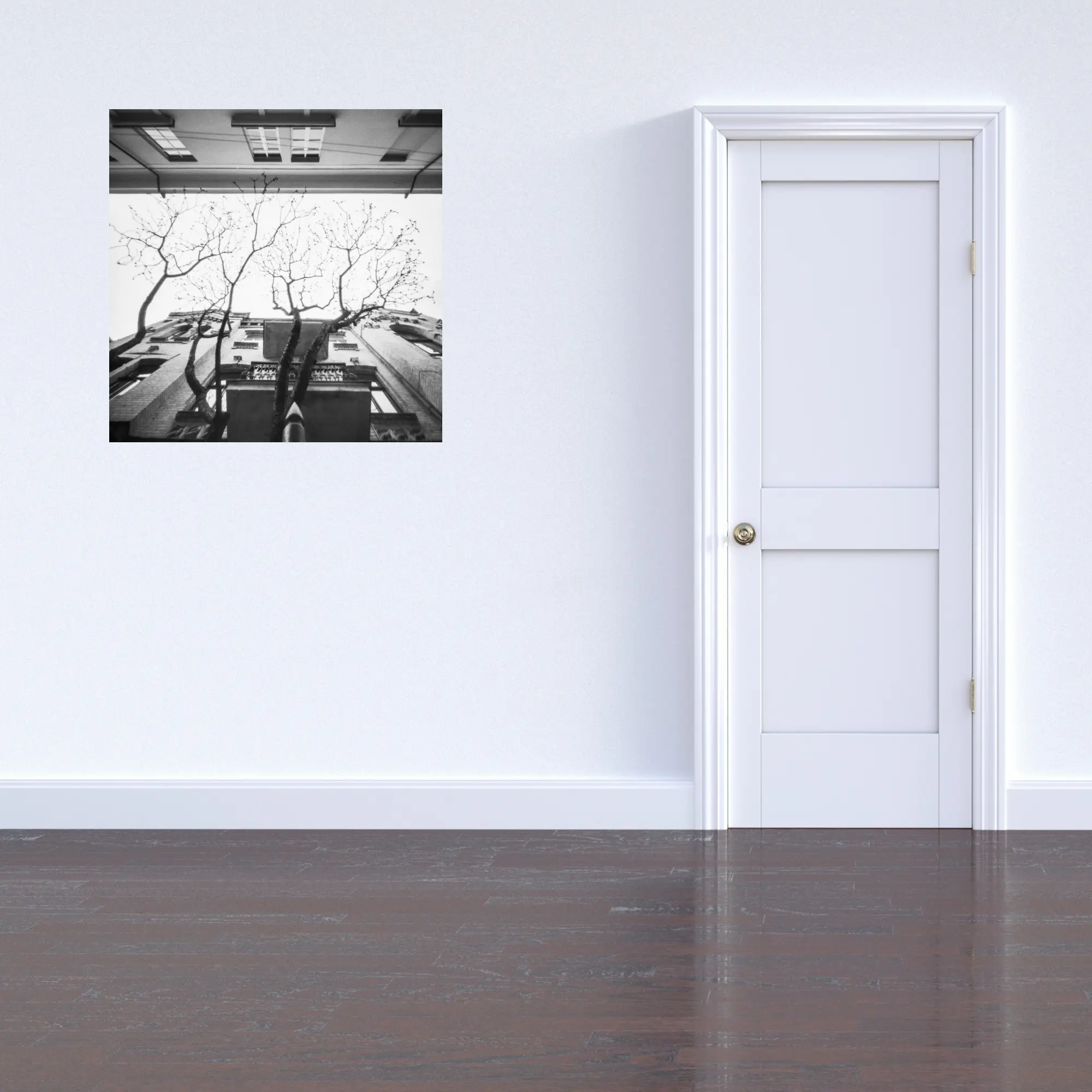 Pinhole XII
