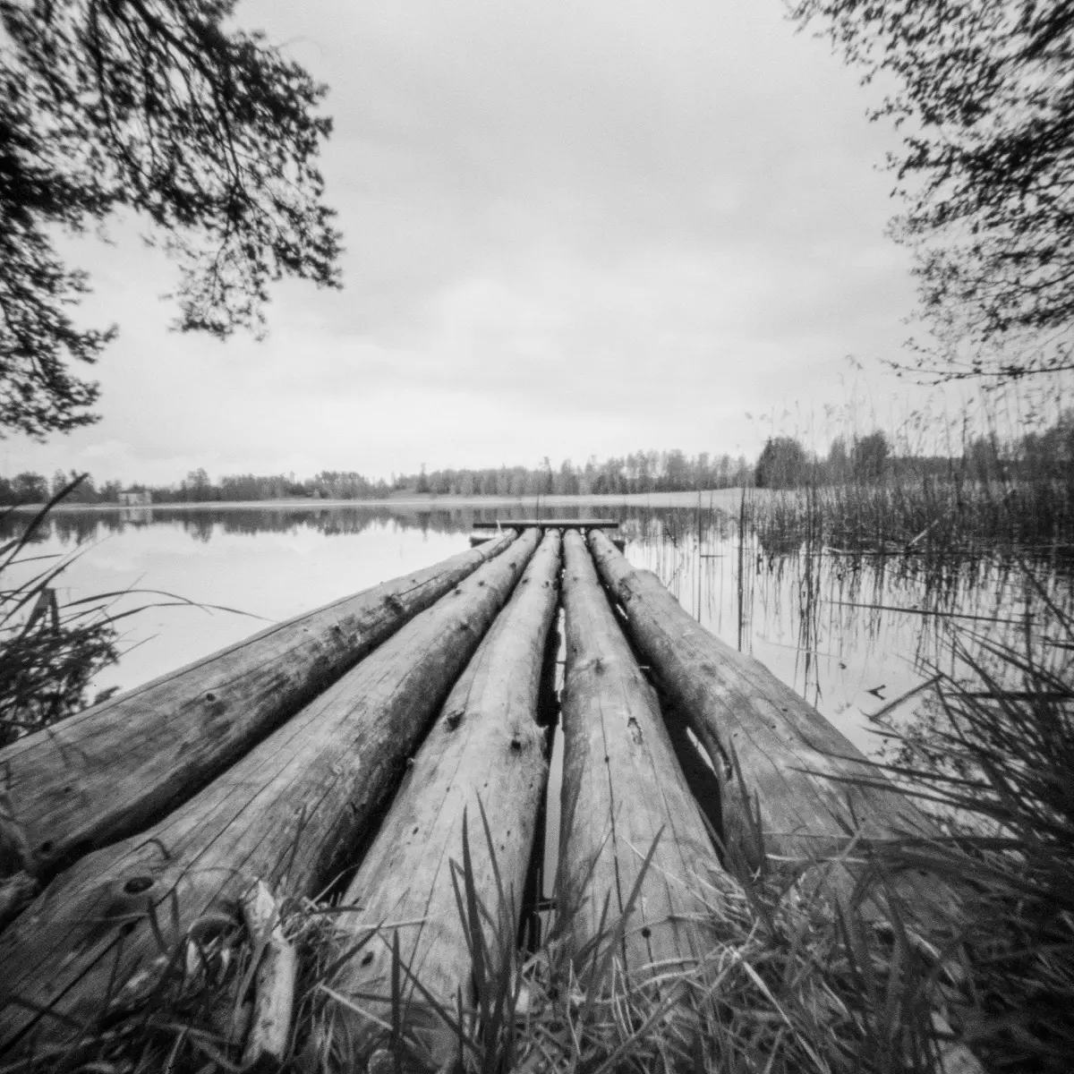 Pinhole XIII