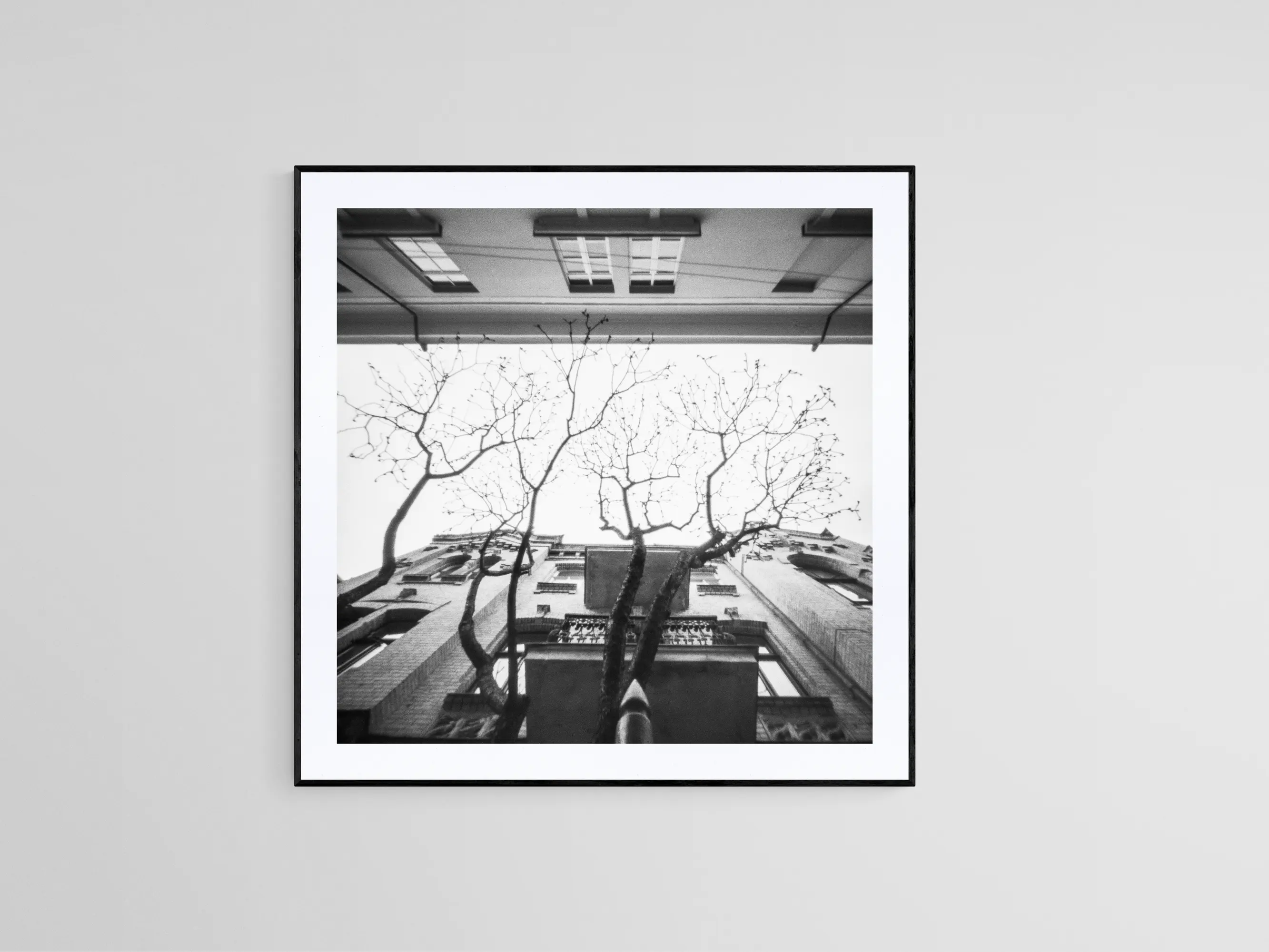 Pinhole XII