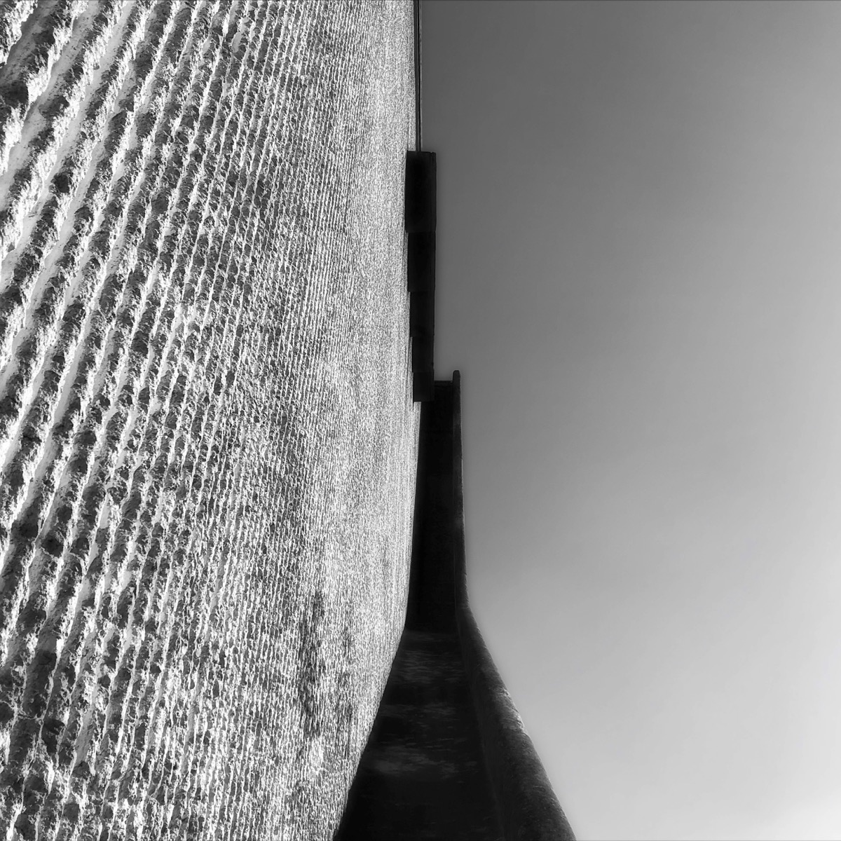 Lines