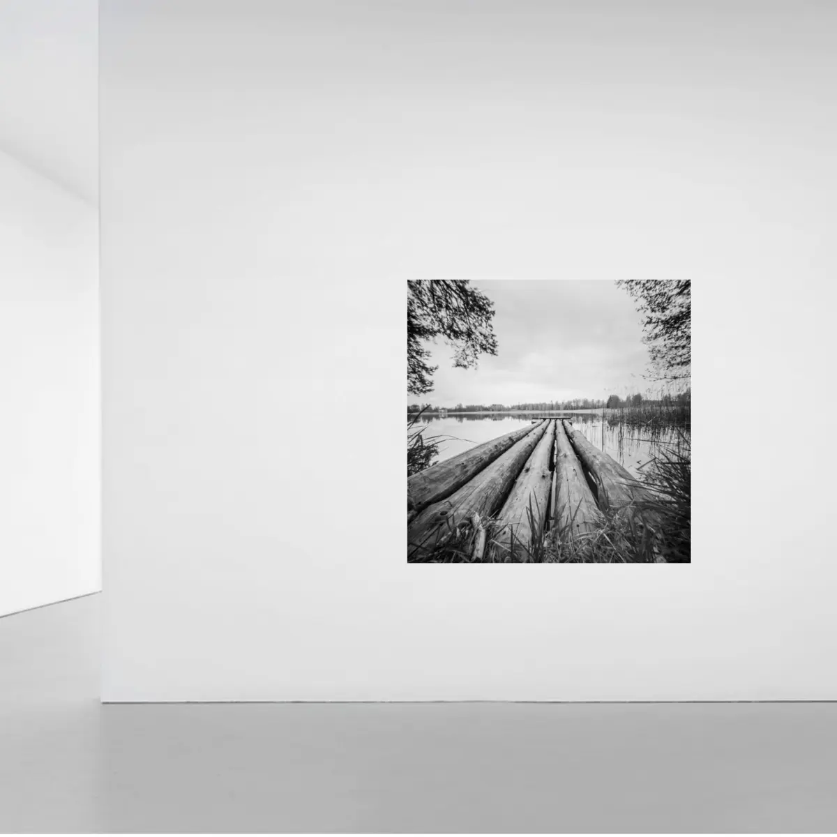 Pinhole XIII