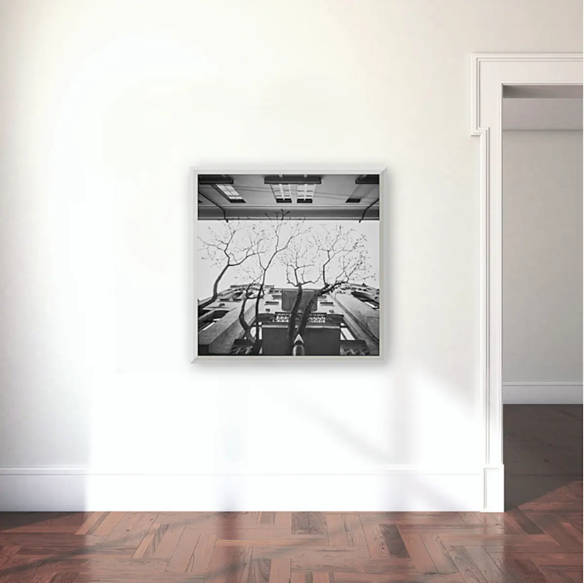 Pinhole XII