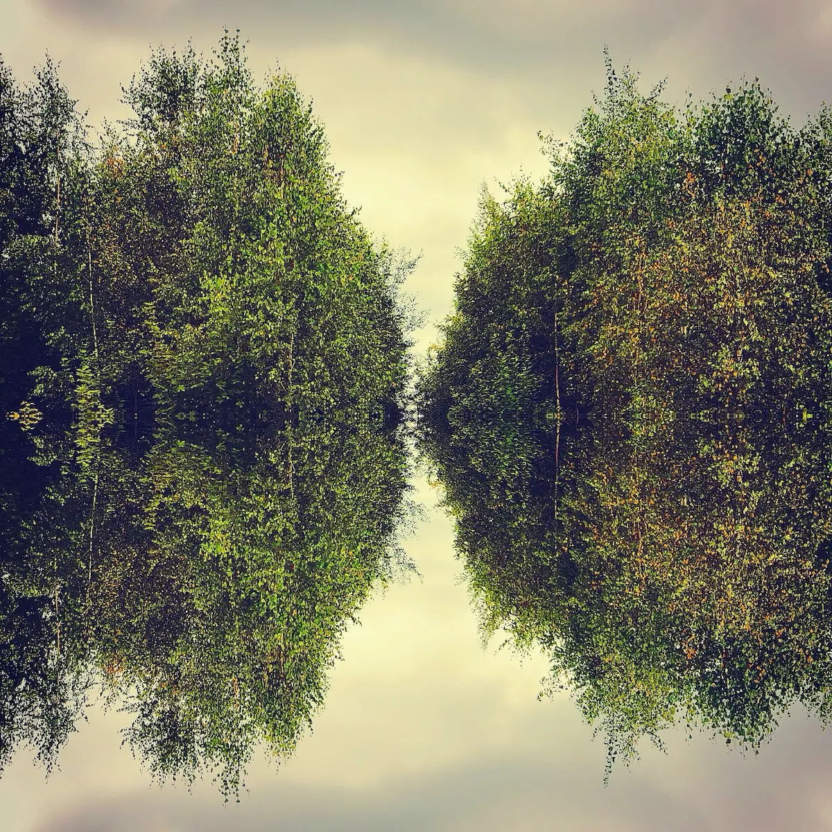 Green Tranquility