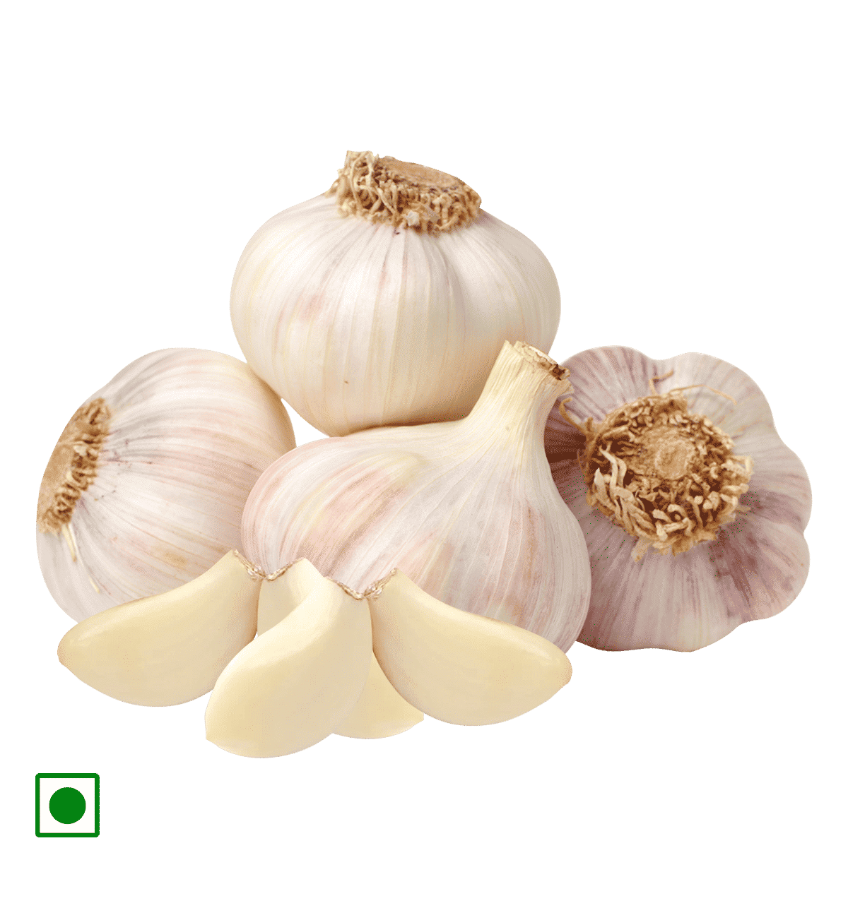 Fresh Garlic Bulbs