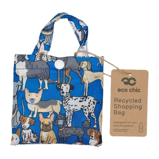 Eco Chic Recycled Shopping Bag