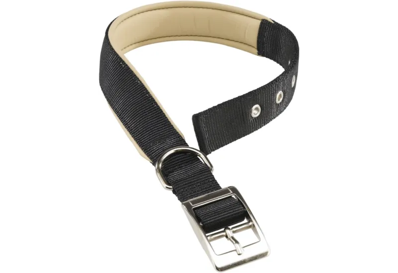 Black Nylon Dog Collar