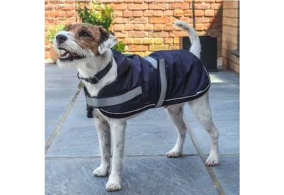 Reflective Dog Jacket