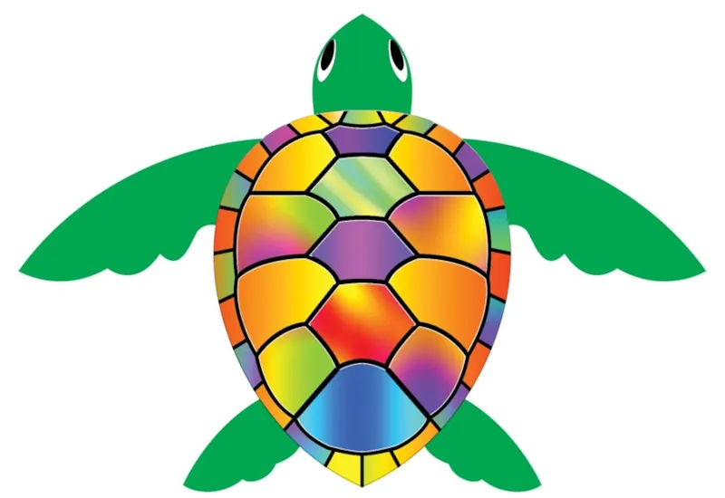 Colorful Turtle Art Print