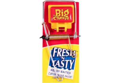 Big Cheese Mouse Trap