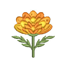 Flor de cempasúchil