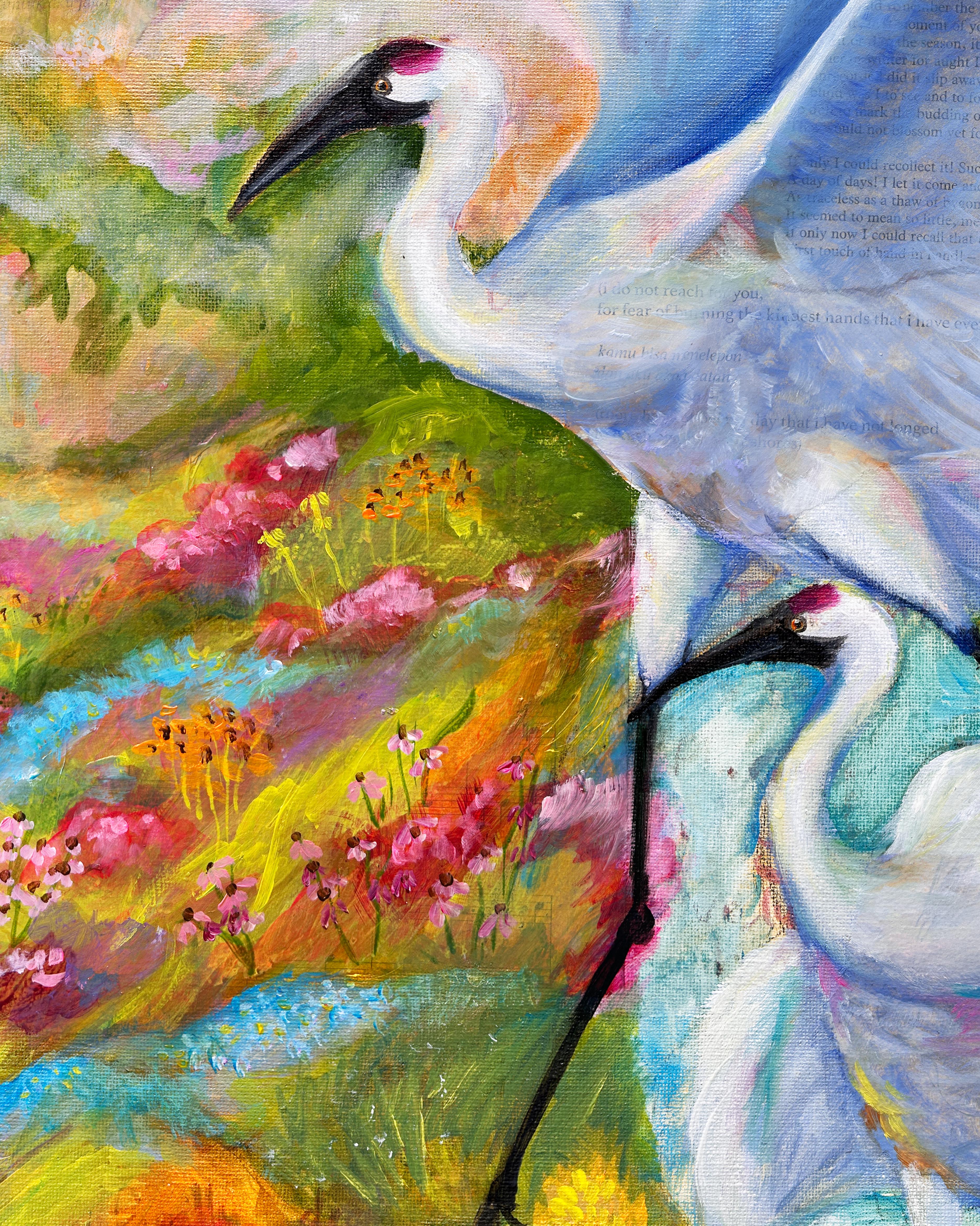 Whooping Cranes | 18"x22"