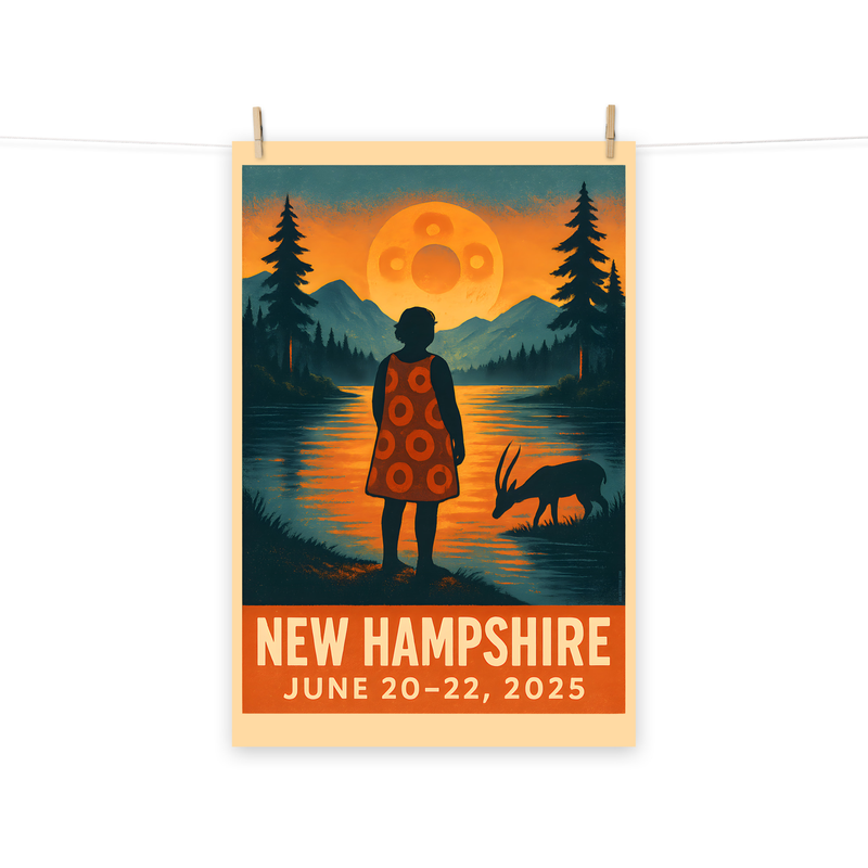 Phish Poster Summer Tour 2025 New Hampshire Lot Poster Phish Print