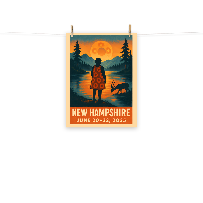 Phish Poster Summer Tour 2025 New Hampshire Lot Poster Phish Print