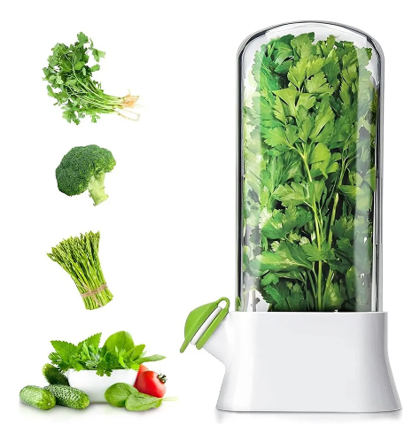 conservador de hierbas frescas