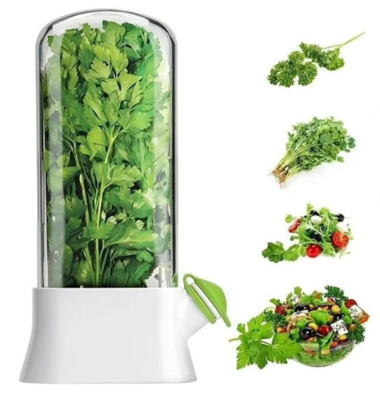 conservador de hierbas frescas