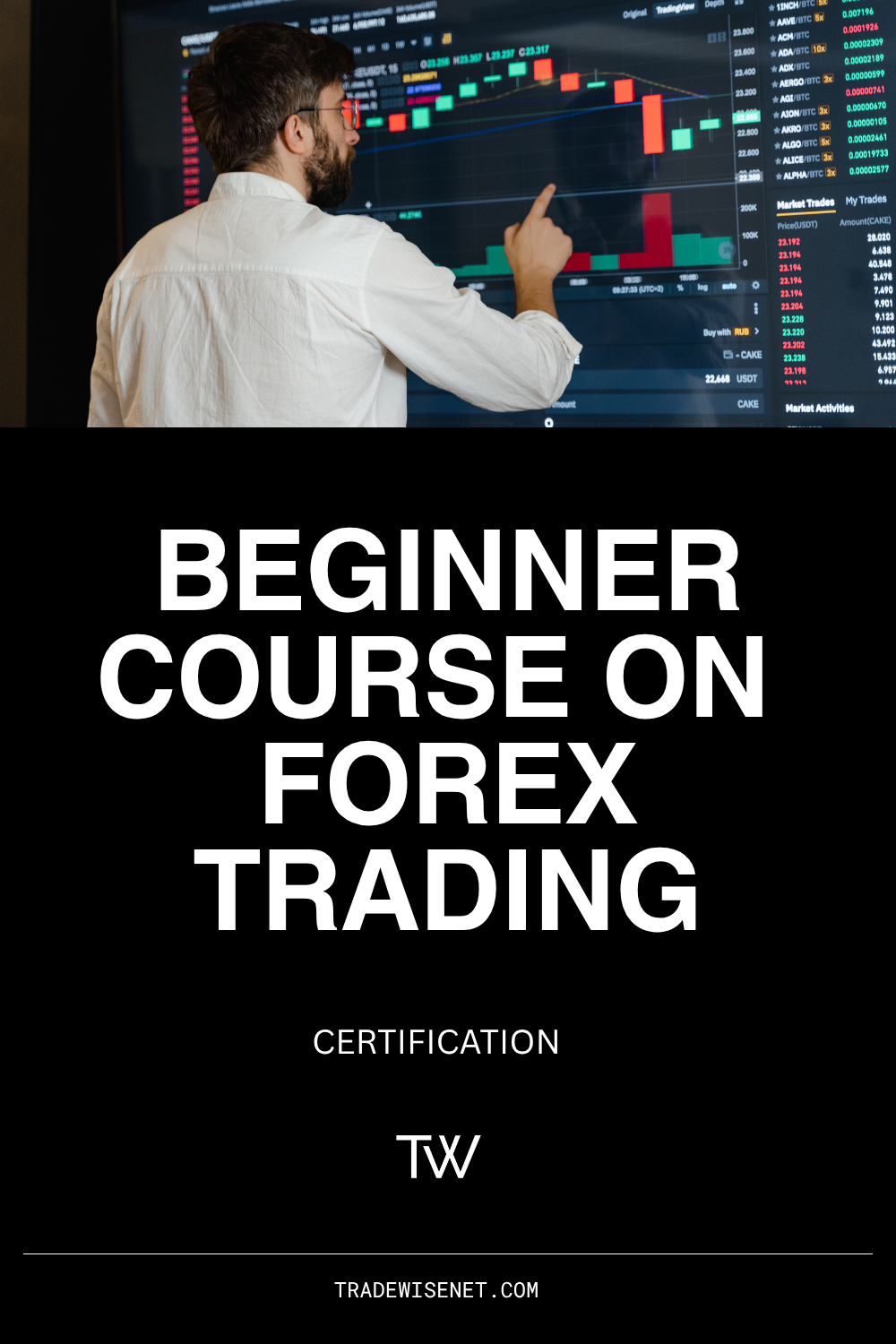 Beginner - Forex Trading Course