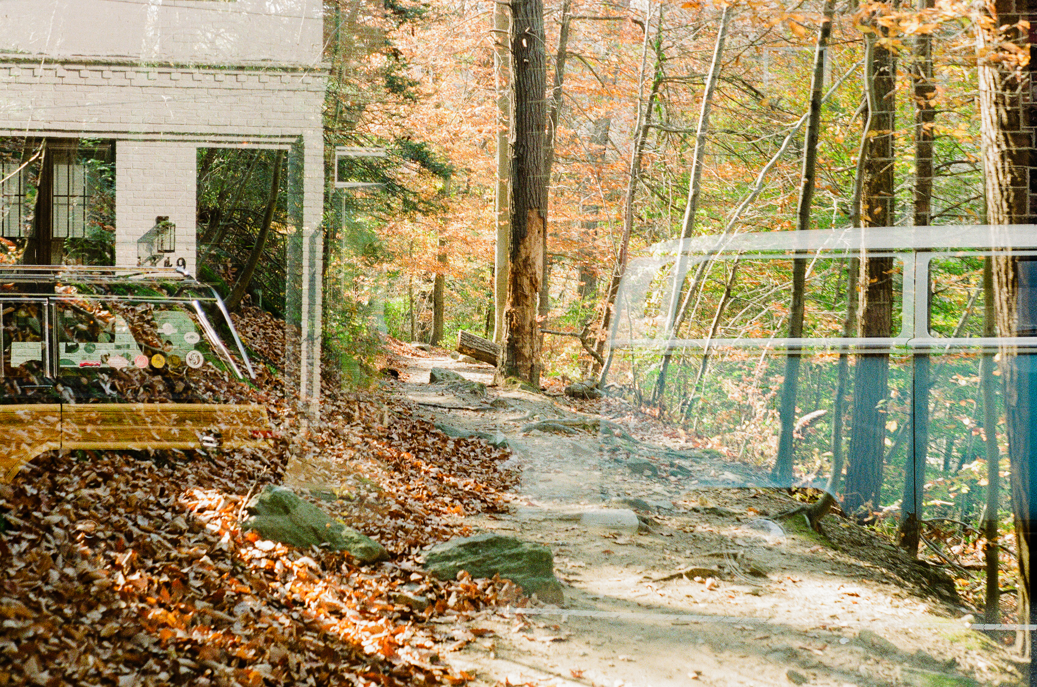 The road less traveled