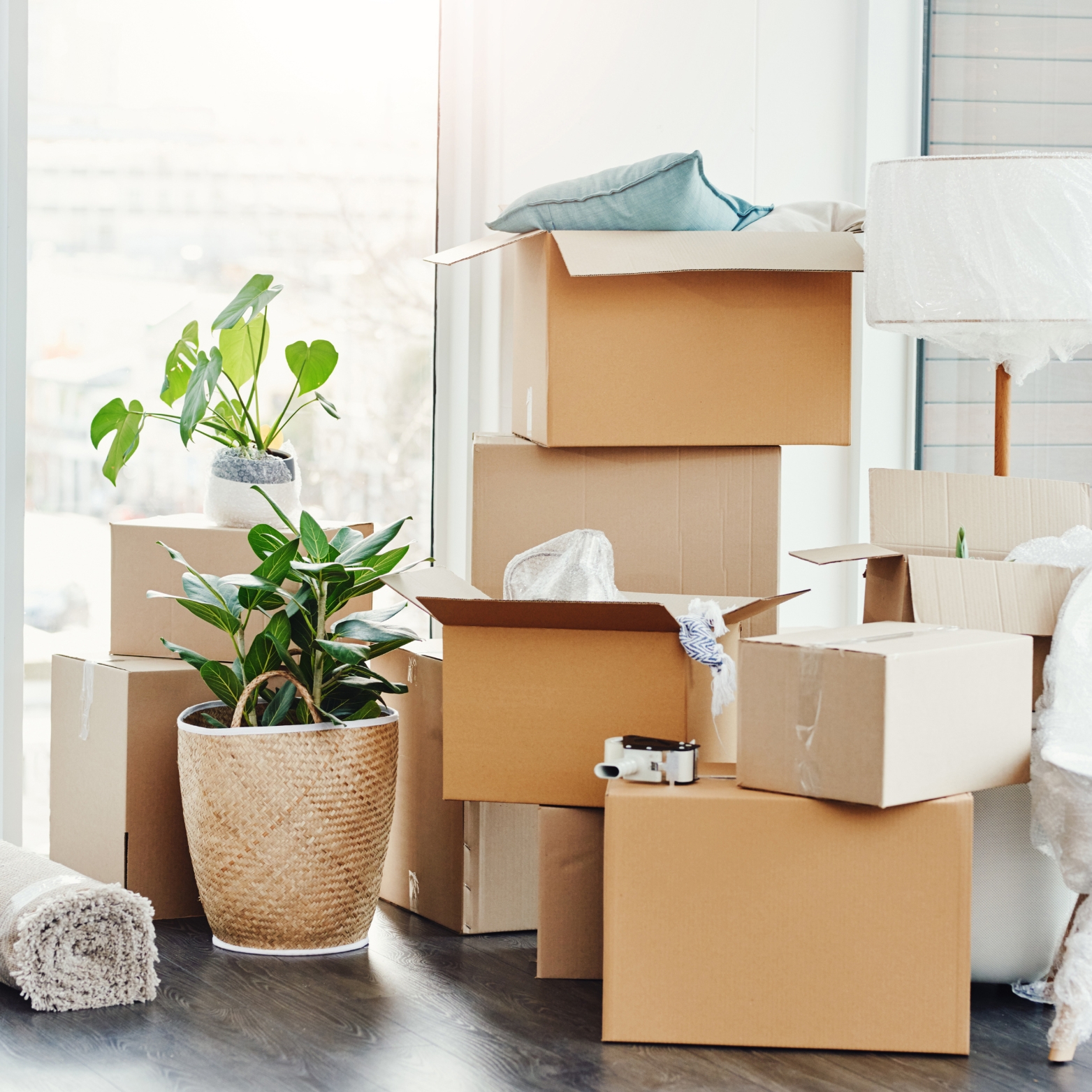 Move In Move Out Cleaning
