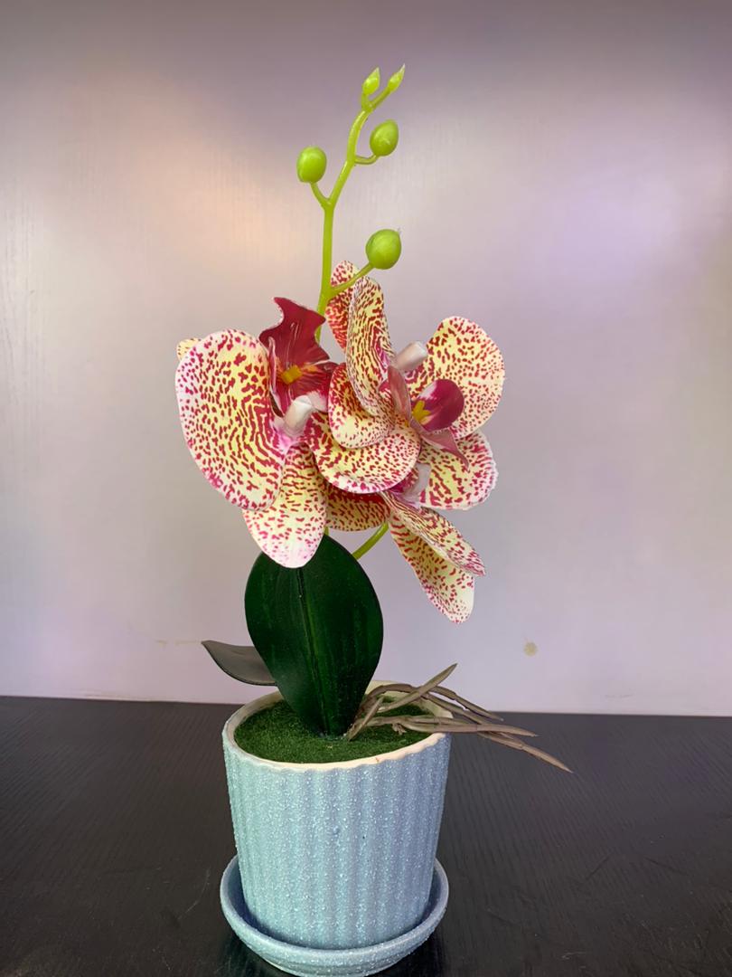 Artificial Orchid Flower Pot