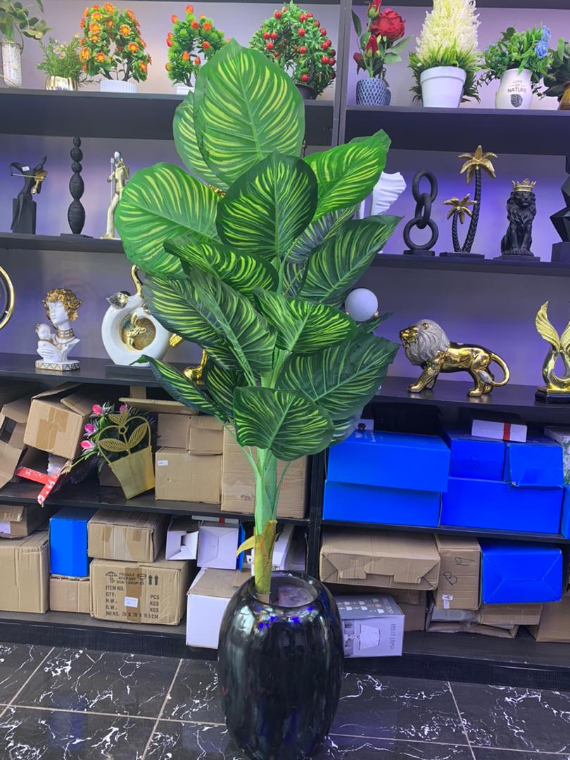 Artificial Calathea Plant in Black Vase