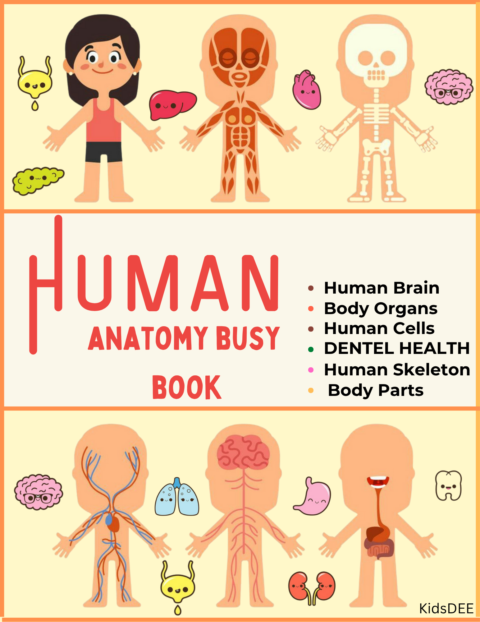 Human Anatomy Busy Book