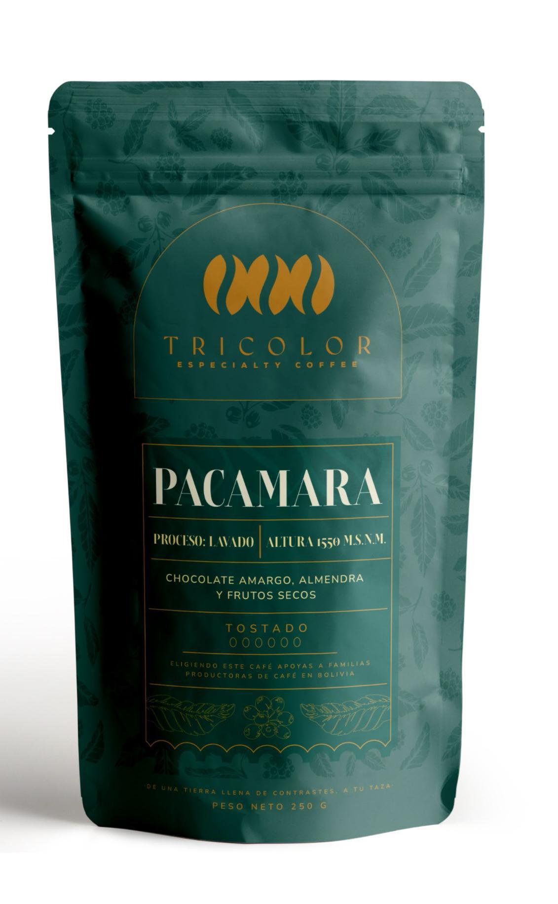 Pacamara