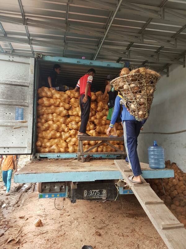 Coconut & CPO ( Crude Palm Oil )