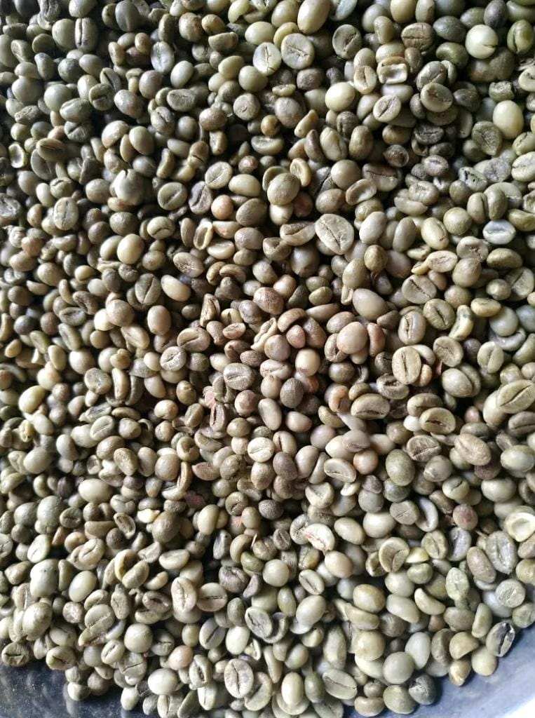 Fresh Bean Robusta & Arabica