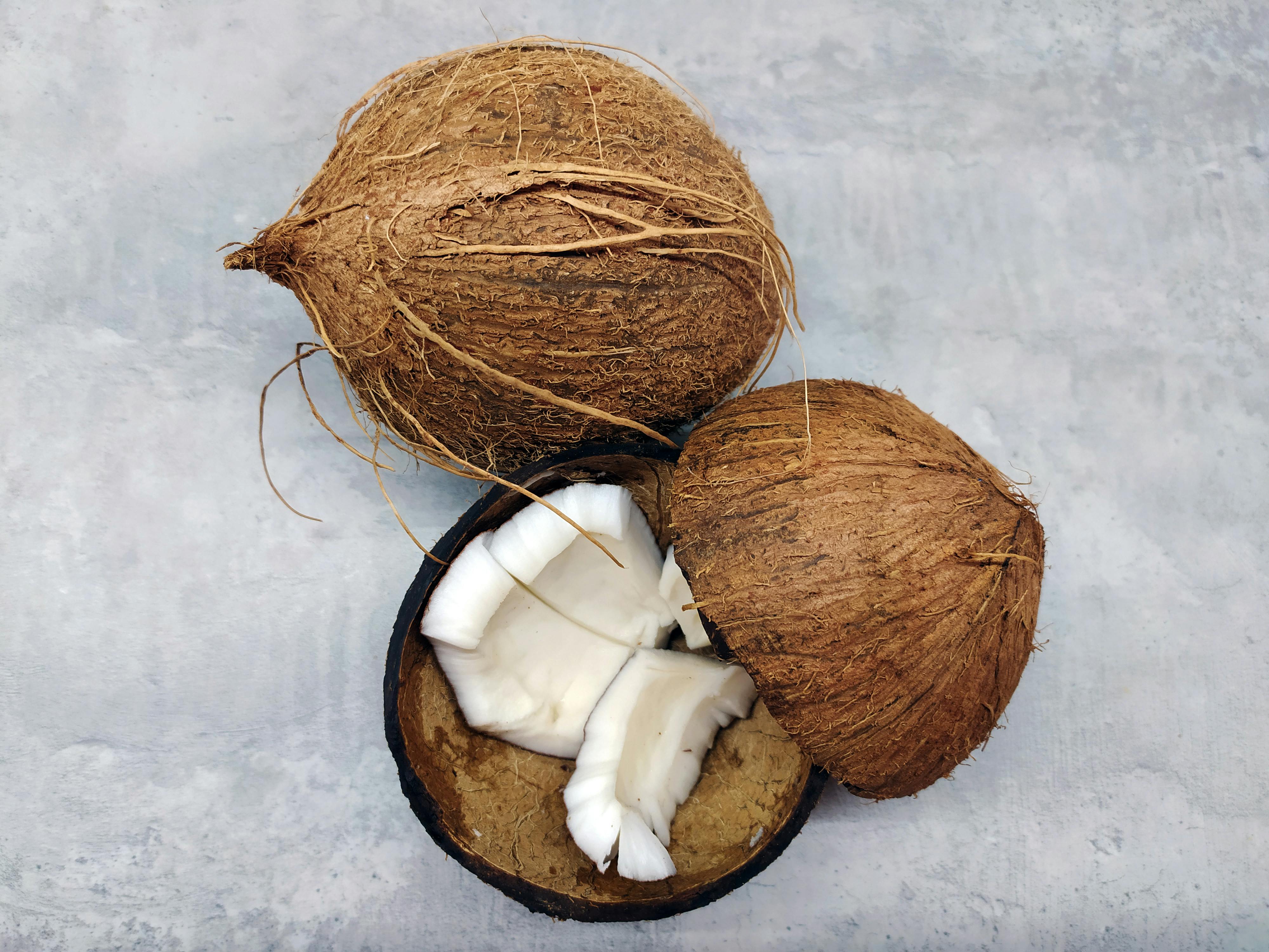 Coconut & CPO ( Crude Palm Oil )