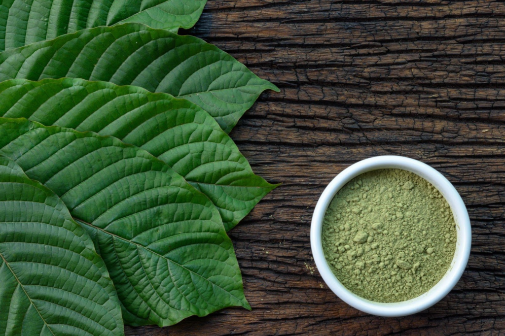 Kratom (Mitragyna speciosa)