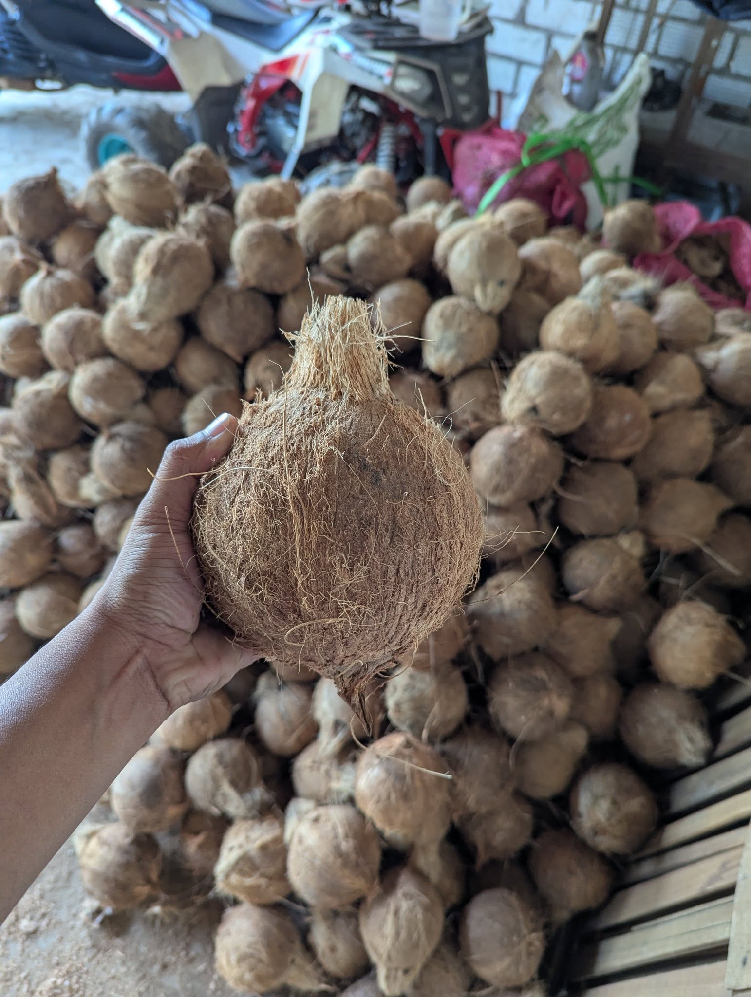 Coconut & CPO ( Crude Palm Oil )