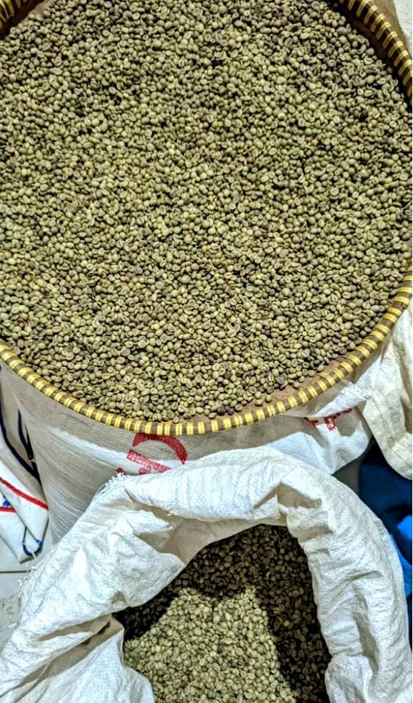 Fresh Bean Robusta & Arabica