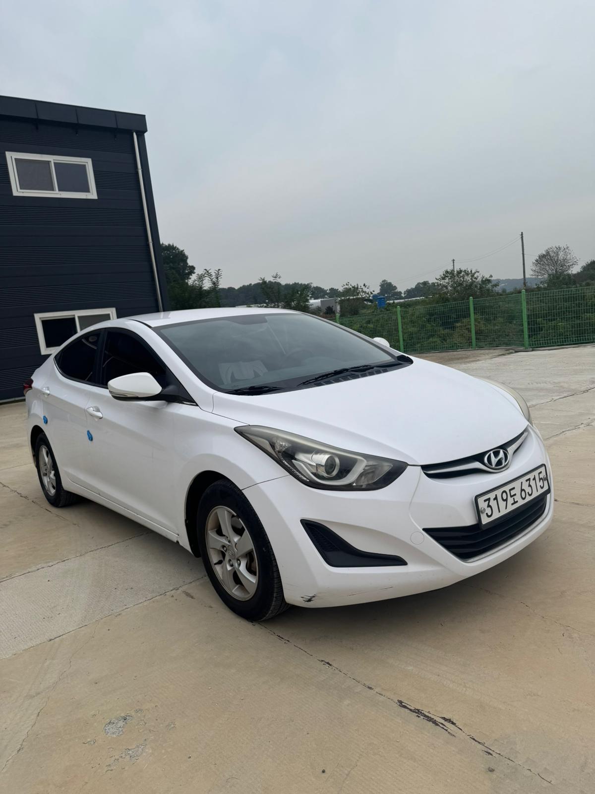 Avante MD – 2015 Model