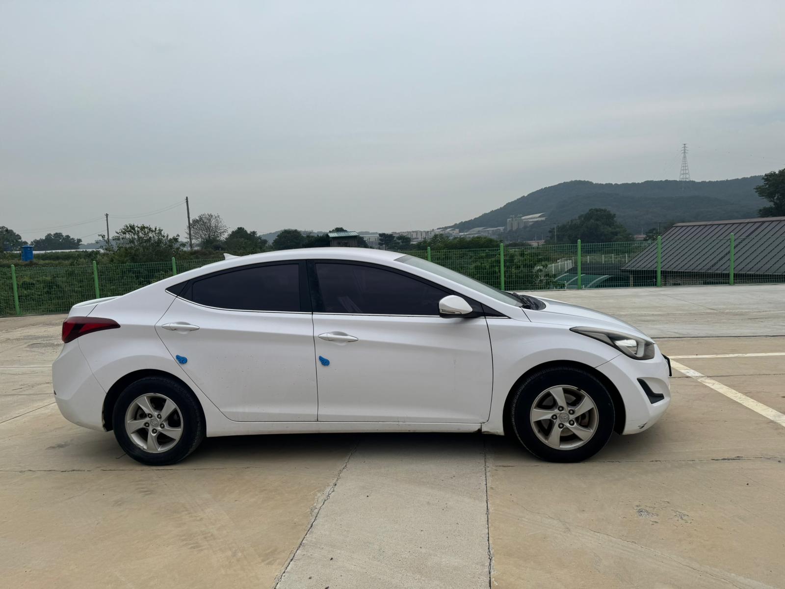 Avante MD – 2015 Model