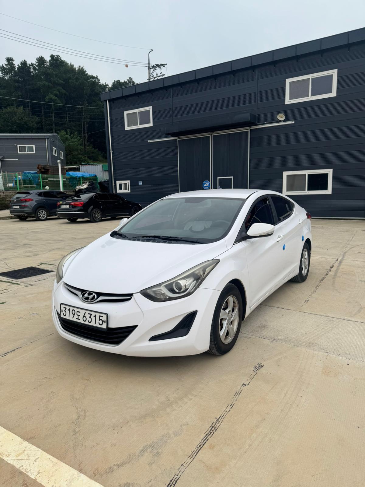 Avante MD – 2015 Model