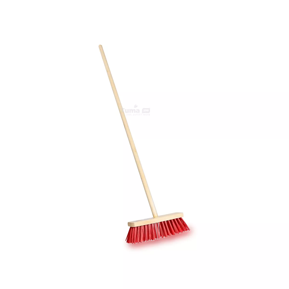 Red Bristle Broom