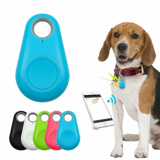 Bluetooth Pet Tracker