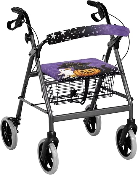 Rollator Walker