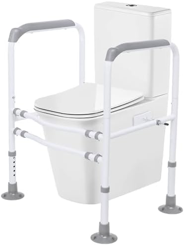 Toilet Safety Rails