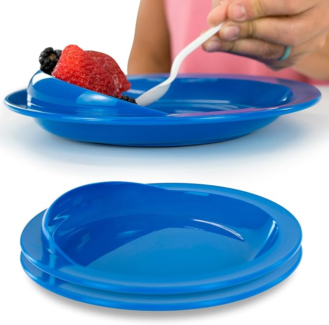 Spill Proof Plate