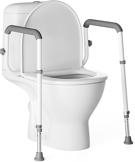 Toilet Safety Rails