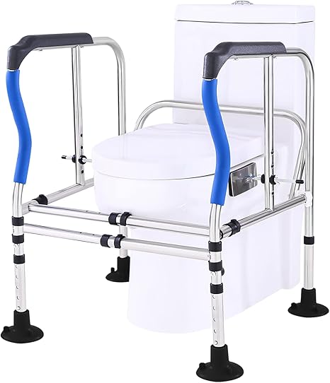 Toilet Safety Rails